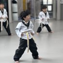 용인대 열정 태권도장 이미지