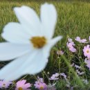 천지여인숙 이미지