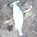 남양산역 뒤 이미지