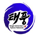 용인대 태풍 태권도장 이미지