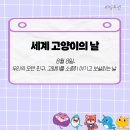 고양이라 좋은 날 이미지
