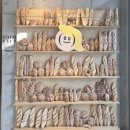 안도르 | [제주도 동쪽] 구좌읍 루프탑이 있는 대형 베이커리 안도르(ANDOR)카페 후기