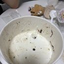 김치찜참잘하는집 이미지