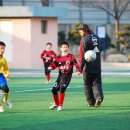 합성초등학교 이미지