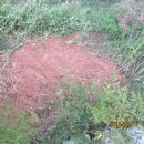 도라지마을 이미지