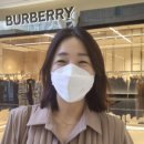 로이플러스