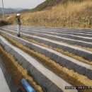 청산농장 이미지