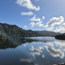 2026년 9월 12일 Suspension Bridge Track-Wairoa Loop Track 이미지