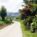 박달재황토펜션 이미지