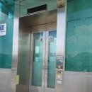 국립현대미술관 과천- 모네의 수련을 만나볼 수 있는 곳 (1) 이미지