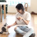 태민인테리어 이미지