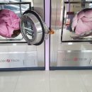 동일하이빌세탁 이미지