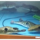 일복빌딩 이미지