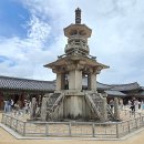 황금덕장(경주불국사점) | 2026년 하반기 경주 불국사 대웅전 공사 소식, 온전한 모습을 볼 수 있는 마지막 기회