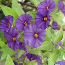 주식회사 일군산업 이미지