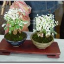 창녕초등학교 이미지