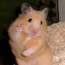 마포구청 시청각실 | [홍대 거리에 예술 더하기 서포터즈] 발대식 후기