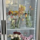 사파동344 이미지