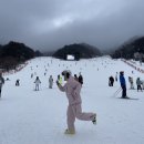 무주 덕유산 스키장 설천베이스 다녀온 내돈내산 후기
