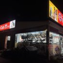 펫클럽강릉