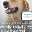 SCI 메디컬 이미지