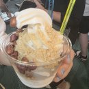 신화세탁소 | 2025년 8월, 동생이랑 제주 4박5일 여행기 (제주숙소,제주맛집,스누피가든,연돈,히든클리프,올레시장)