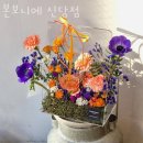 본보니에 - 중구 다산로18길 7 | 서울 꽃집 추천 본보니에 신당점 할인 영업시간 가는길
