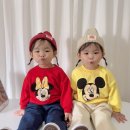 토리하이
