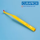 노아덴탈 이미지