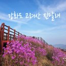 하점면-1 | 강화도 고려산 진달래 개화 백련사~적석사 산행 후기
