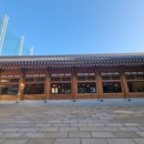 드림정육