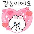 내고향사과쥬스