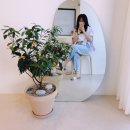 올더디저트 이미지