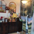 스텔라의 행복정원 이미지