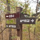 부여(임천)-11 이미지