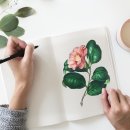 올림디자인 이미지