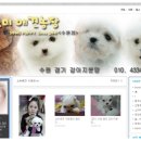 소미애견 농장 네이버블로그