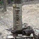 솔빛숲유치원 이미지