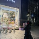 스타코인노래연습장 강남직영점 | 주간 일기 강남역 나들이 포차코폰 쉑쉑버거