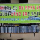 일진카센타 이미지