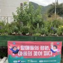 금평회관 이미지