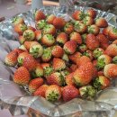 홈플러스 인천청라점 | 청라맛집 애슐리퀸즈 홈플러스 인천 청라점 애슐리 딸기축제 런치