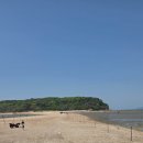 실미도 실미유원지캠핑장 리얼 사용 후기와 꿀팁
