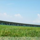 페어웨이 천연 잔디타석 골프연습장 이미지