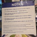 부산 남포동 수제버거 맛집 추천｜재방문도 대만족! 다운타우너 부산롯데광복점 후기