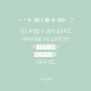 에스테틱숲