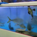 수산식당 이미지