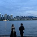 카페드리스 | 드레스 | 쥬빌리브라이드 촬영 드레스 후기(블랙드레스)