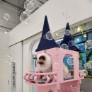 쥬니멀 이미지