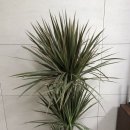 산호동486 이미지